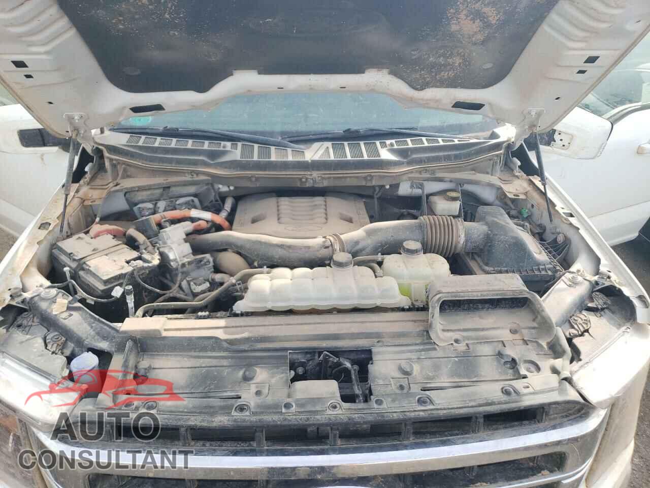 FORD F-150 2022 - 1FTFW1ED3NFC45454