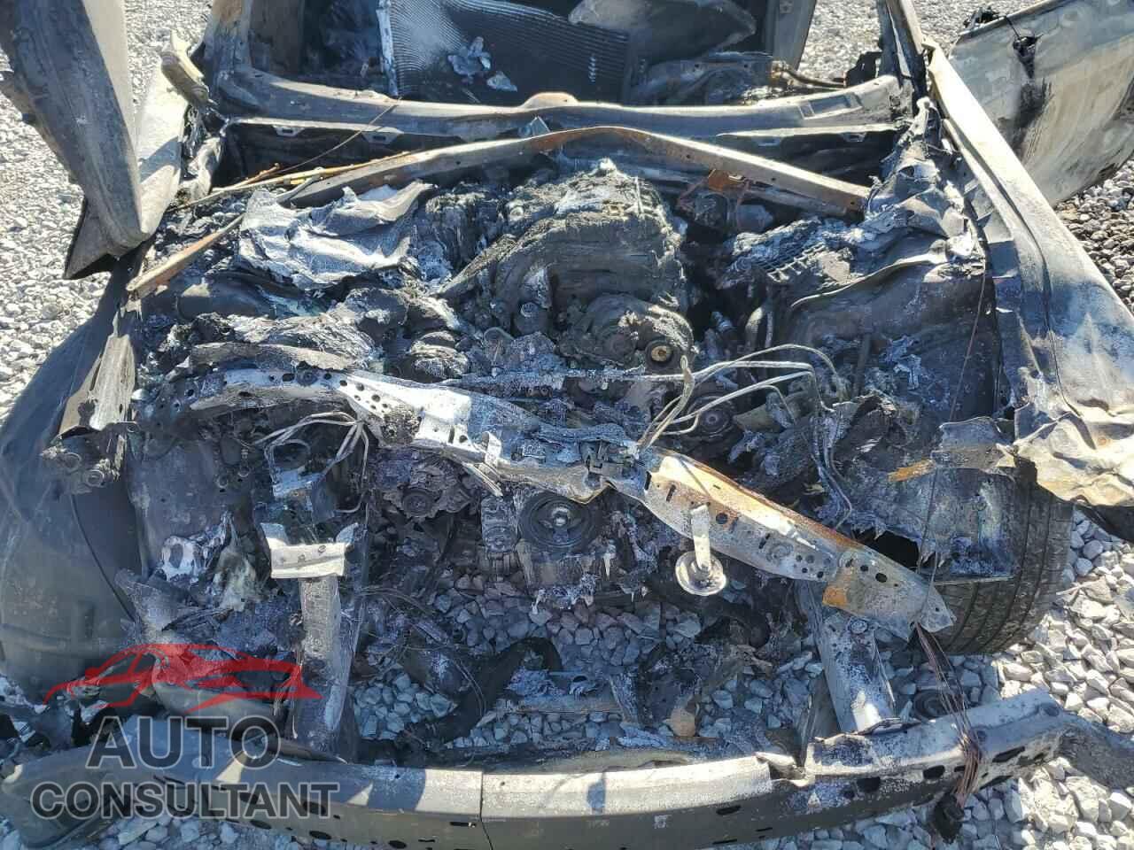 DODGE CHALLENGER 2019 - 2C3CDZAG3KH532041