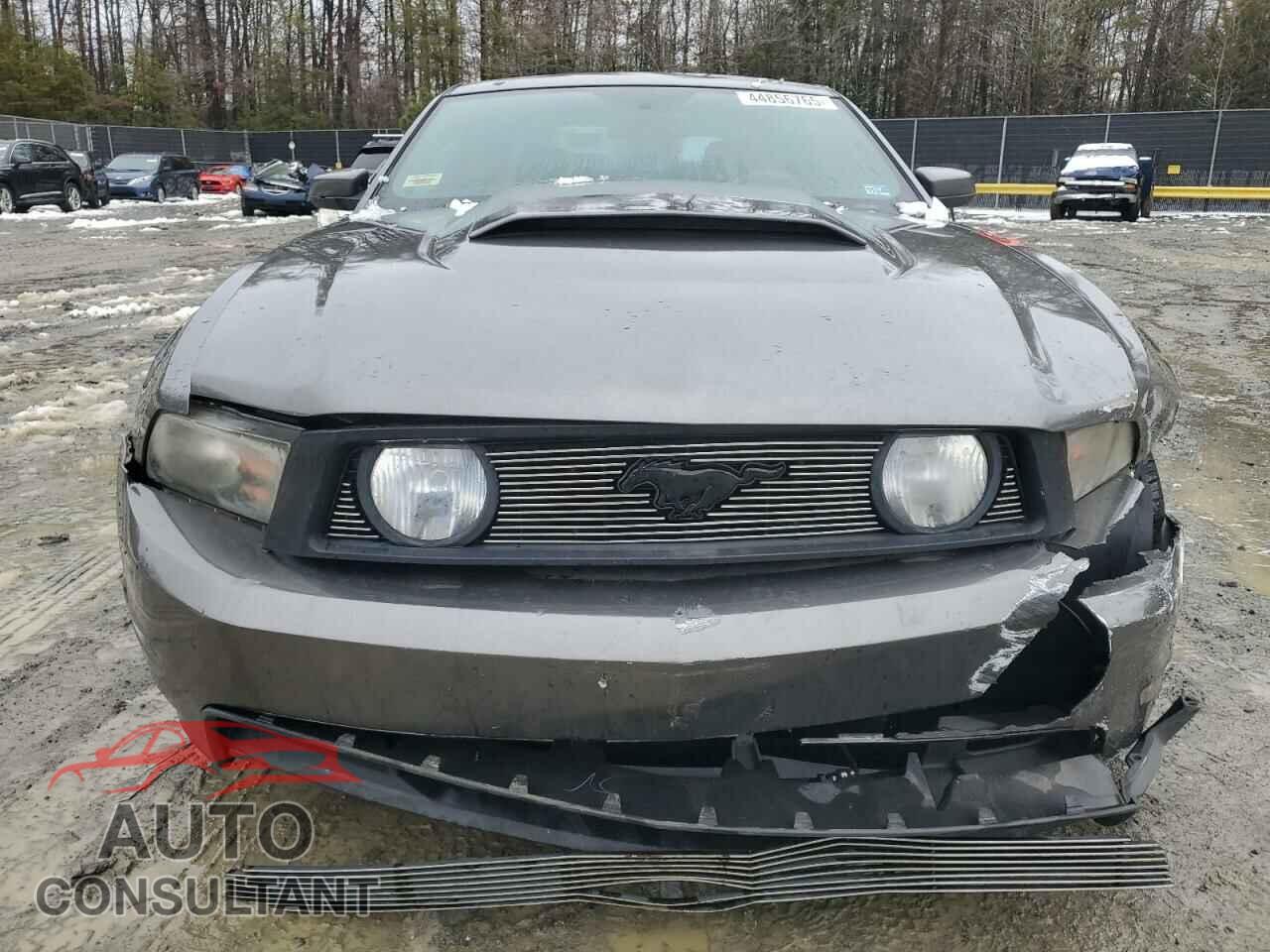 FORD MUSTANG 2010 - 1ZVBP8CH2A5179888