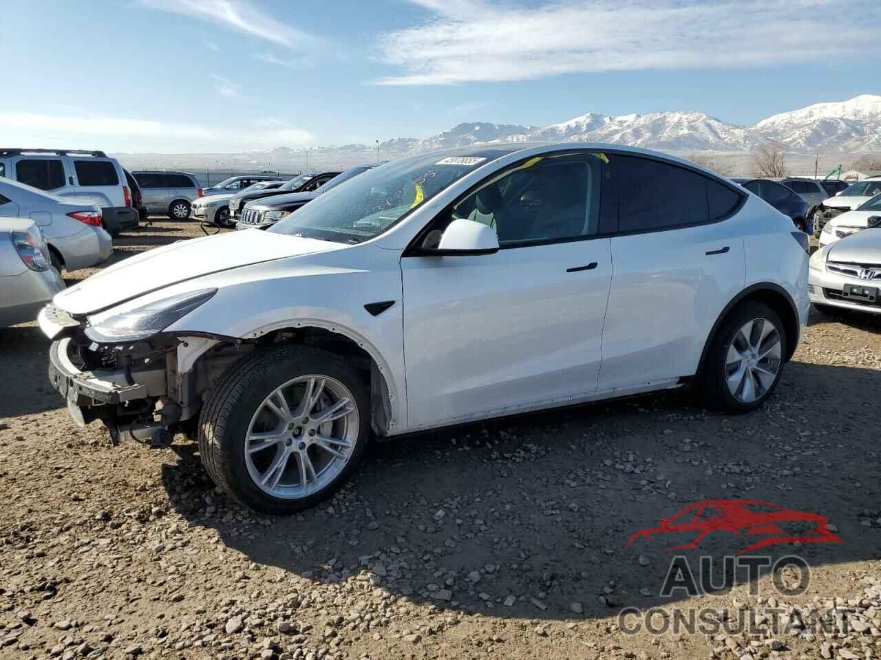 TESLA MODEL Y 2024 - 7SAYGDEE2RF076766