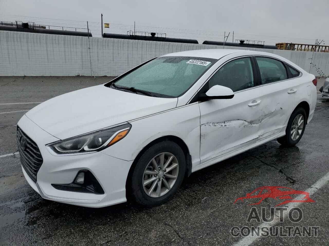 HYUNDAI SONATA 2019 - 5NPE24AFXKH803608