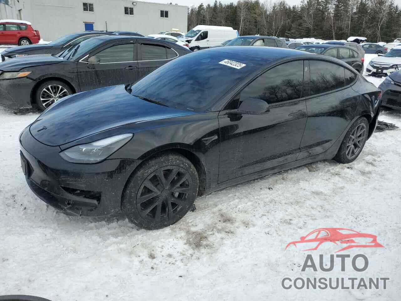 TESLA MODEL 3 2023 - LRW3E1FA7PC899644