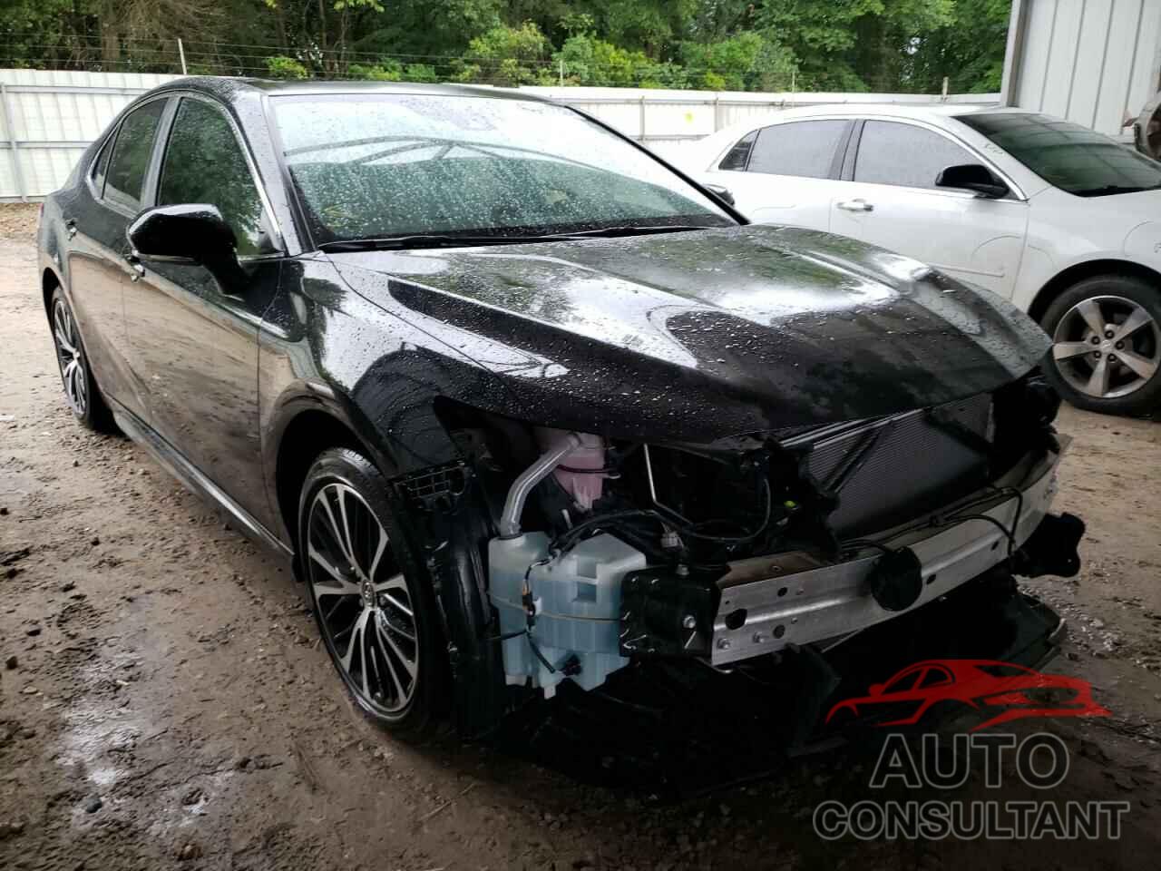 TOYOTA CAMRY 2019 - 4T1B11HK8KU284745