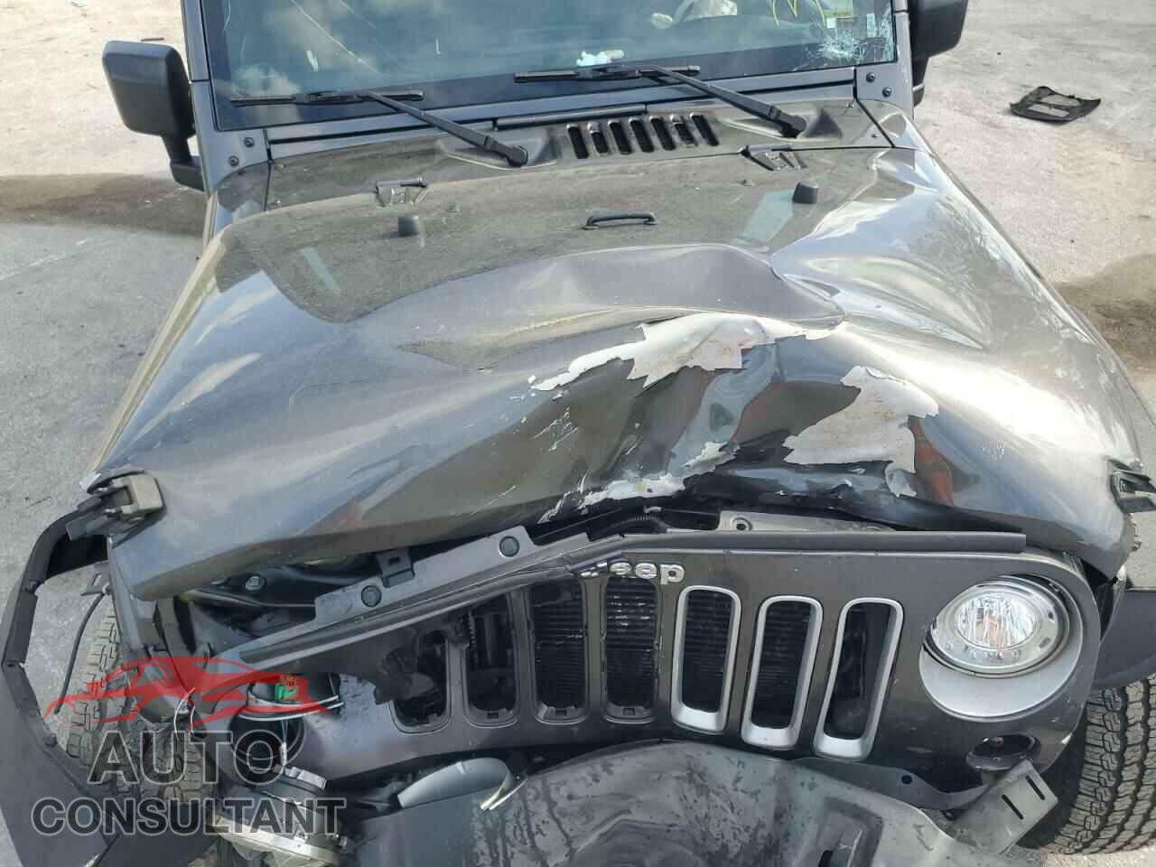 JEEP WRANGLER 2017 - 1C4HJWEG3HL606962