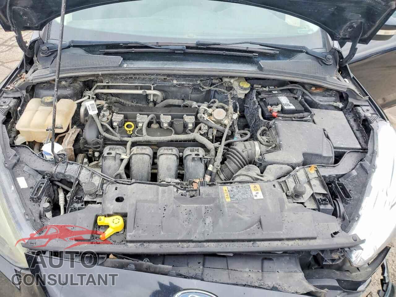 FORD FOCUS 2016 - 1FADP3F28GL347517