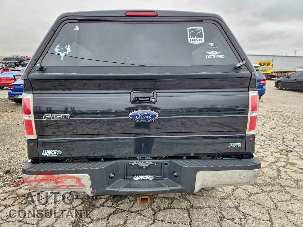FORD F150 2010 - 1FTFW1EV6AFC22141