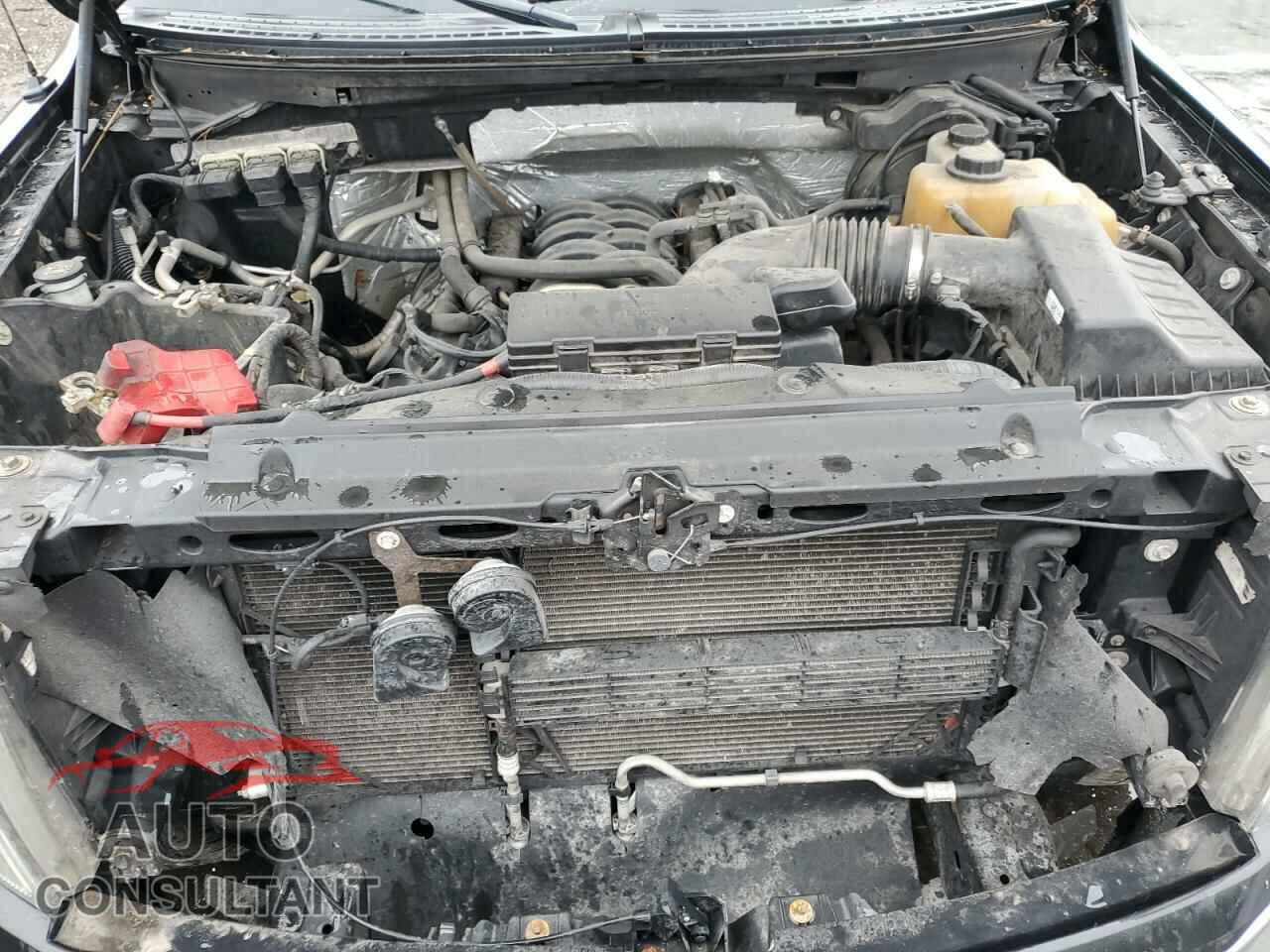 FORD F-150 2013 - 1FTFW1EF0DFD66510