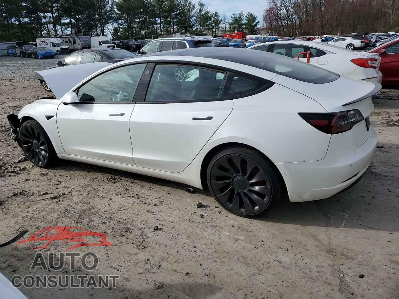 TESLA MODEL 3 2021 - 5YJ3E1EC2MF044192