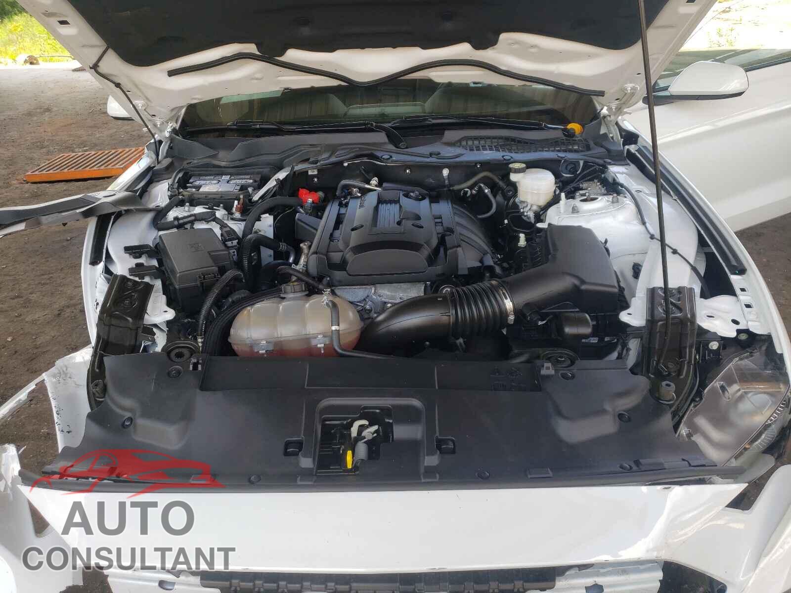 FORD MUSTANG 2019 - 1FA6P8TH5K5199189
