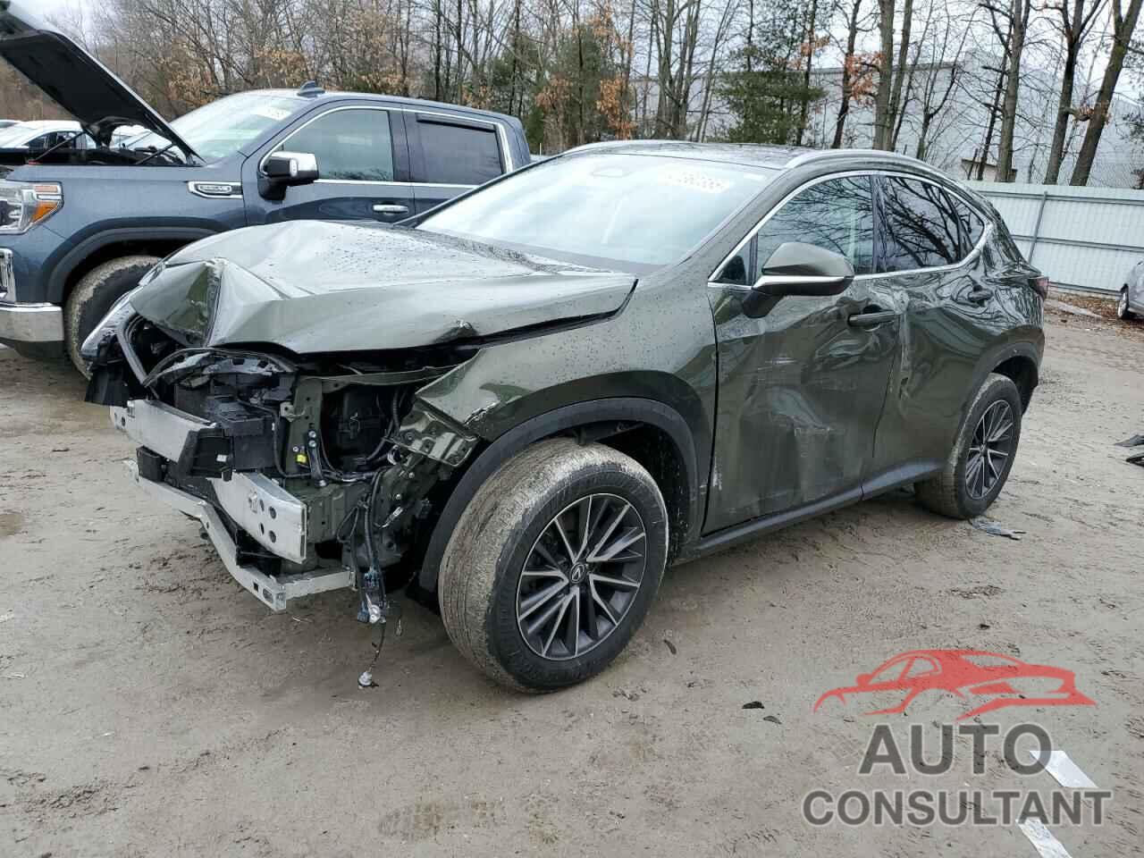 LEXUS NX 350 PRE 2024 - 2T2GGCEZ6RC045901