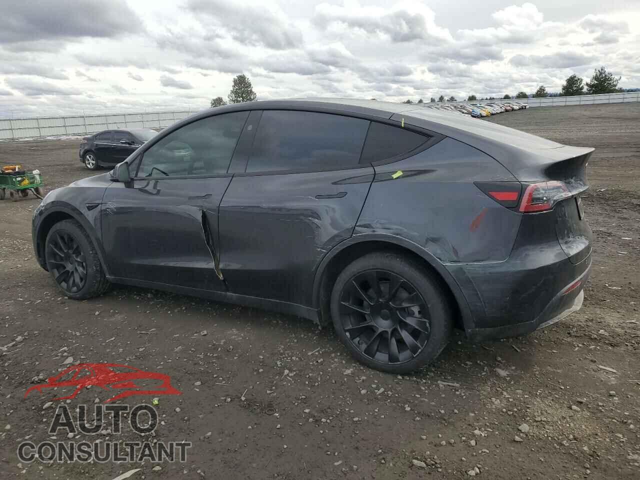 TESLA MODEL Y 2024 - 7SAYGDEE2RF164264