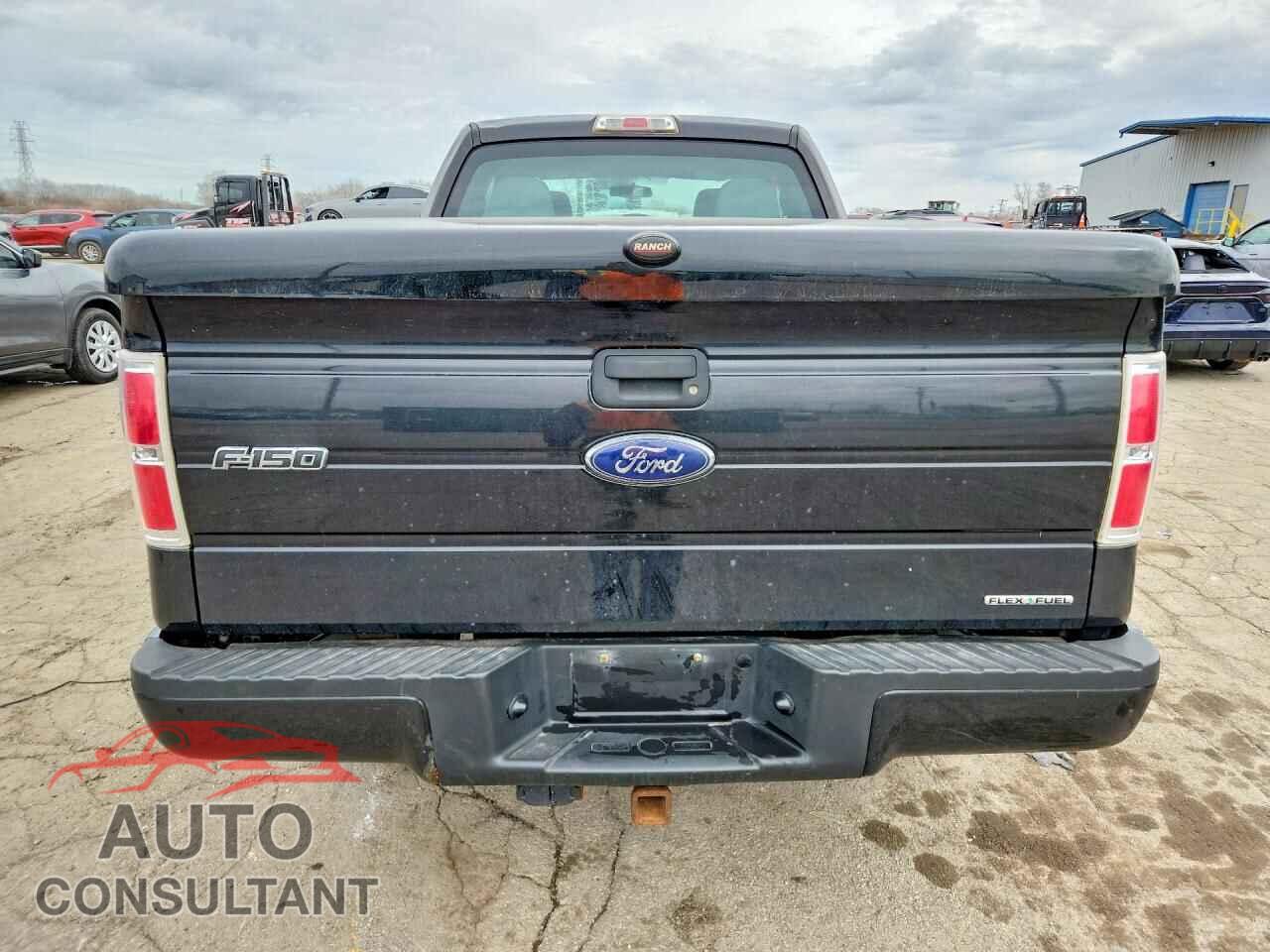 FORD F150 2013 - 1FTFX1EF0DFA43958
