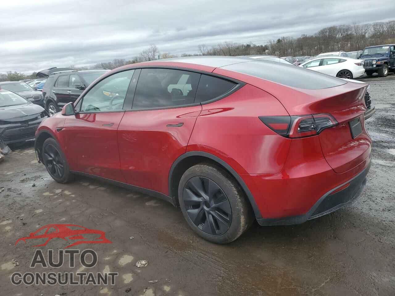 TESLA MODEL Y 2024 - 7SAYGDEE0RF159774
