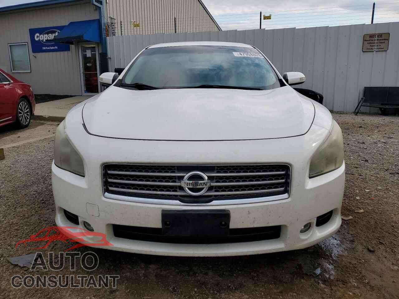NISSAN MAXIMA 2009 - 1N4AA51E29C811485