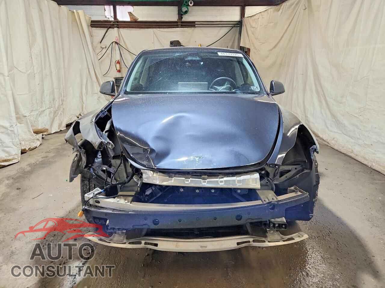 TESLA MODEL Y 2024 - 7SAYGAEE7RF063204