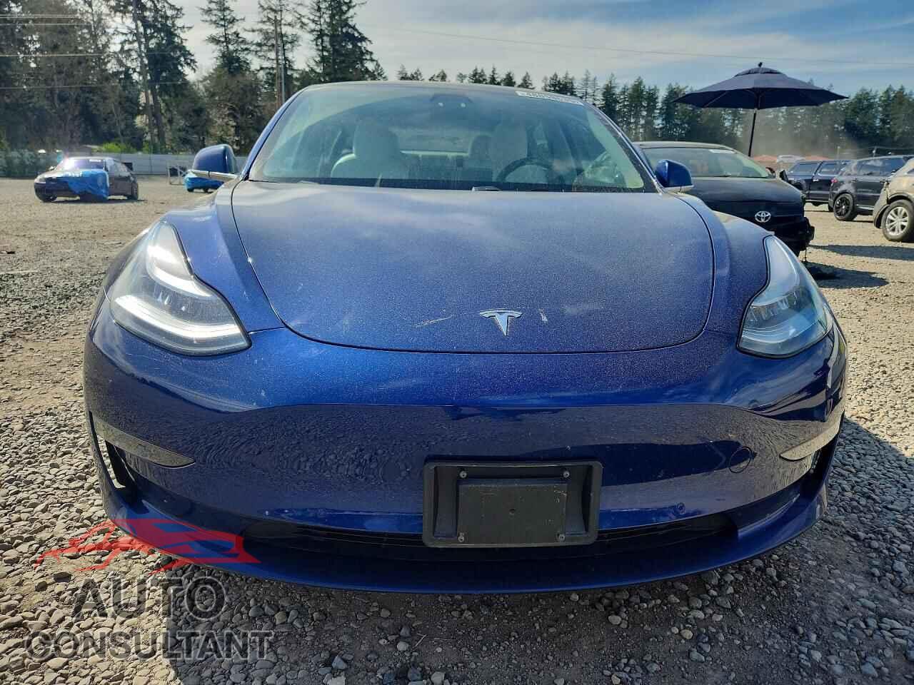 TESLA MODEL 3 2018 - 5YJ3E1EB2JF082329