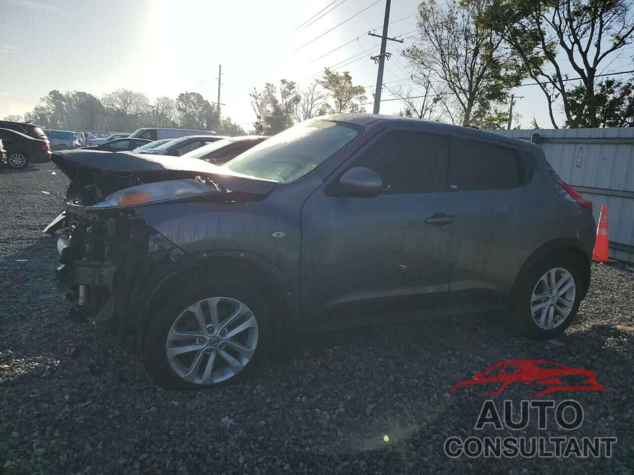 NISSAN JUKE 2014 - JN8AF5MR3ET359524