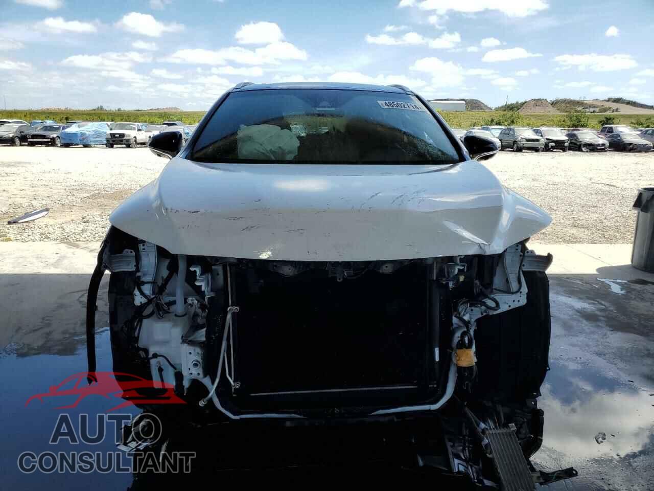 LEXUS RX350 2019 - 2T2BZMCA1KC192883