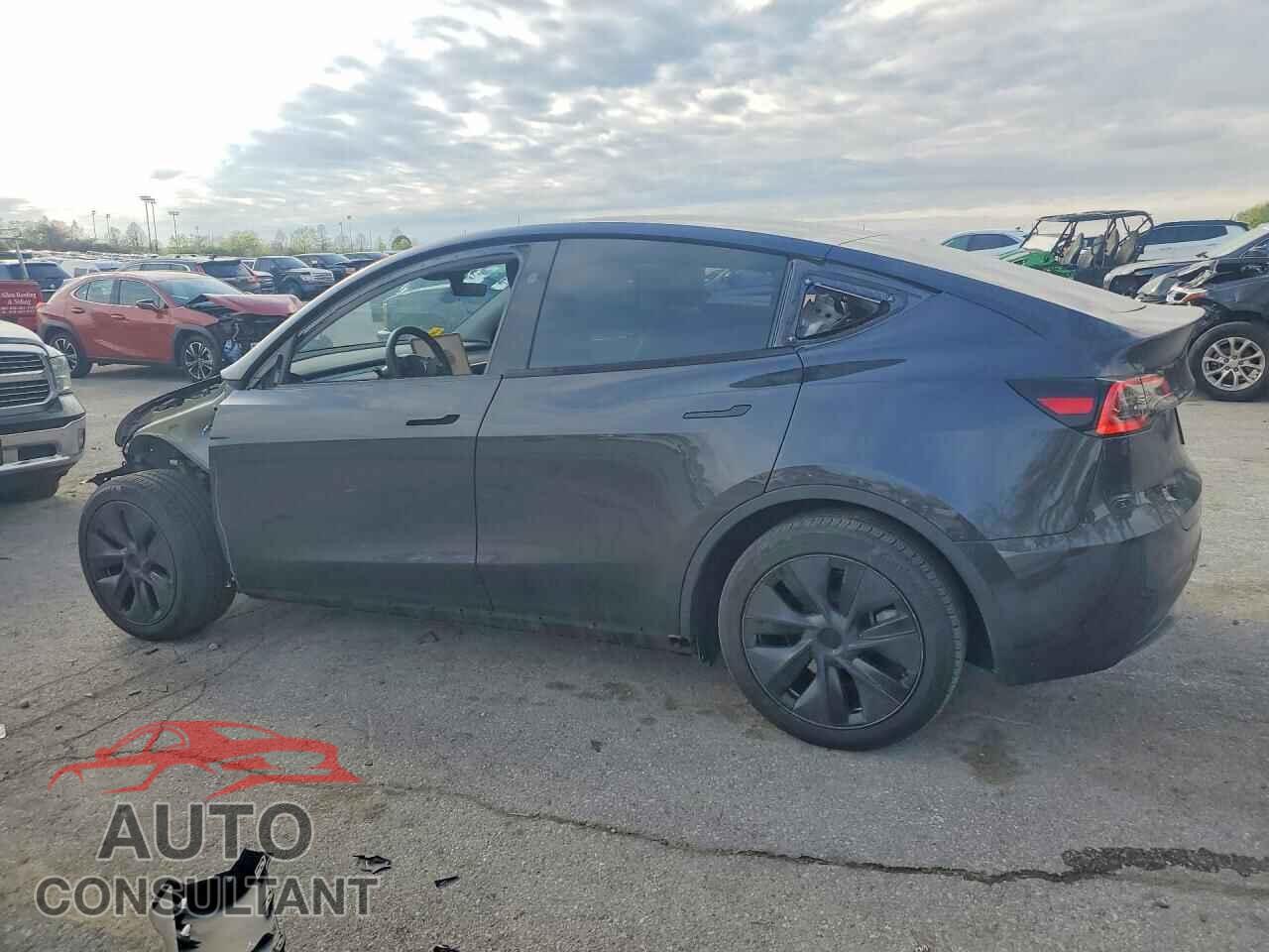 TESLA MODEL Y 2024 - 7SAYGDED4RF154410