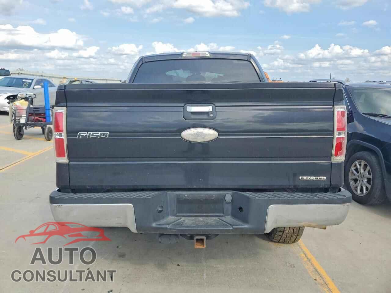 FORD F150 2011 - 1FTEW1CM8BFB38569