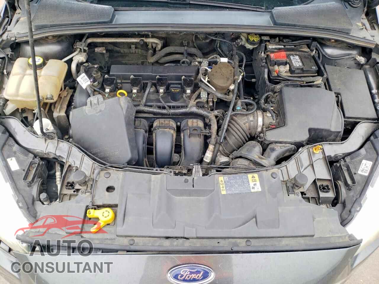 FORD FOCUS 2016 - 1FADP3F25GL254406