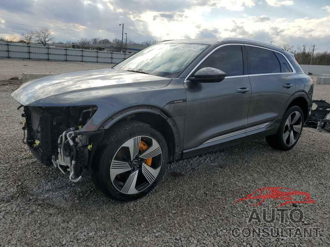 AUDI E-TRON 2019 - WA1VAAGE1KB005834