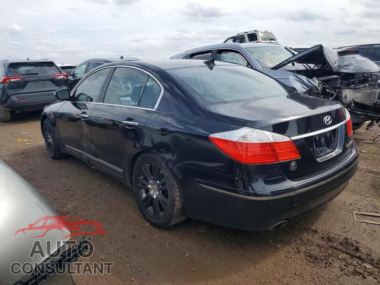HYUNDAI GENESIS 2011 - KMHGC4DF2BU133720