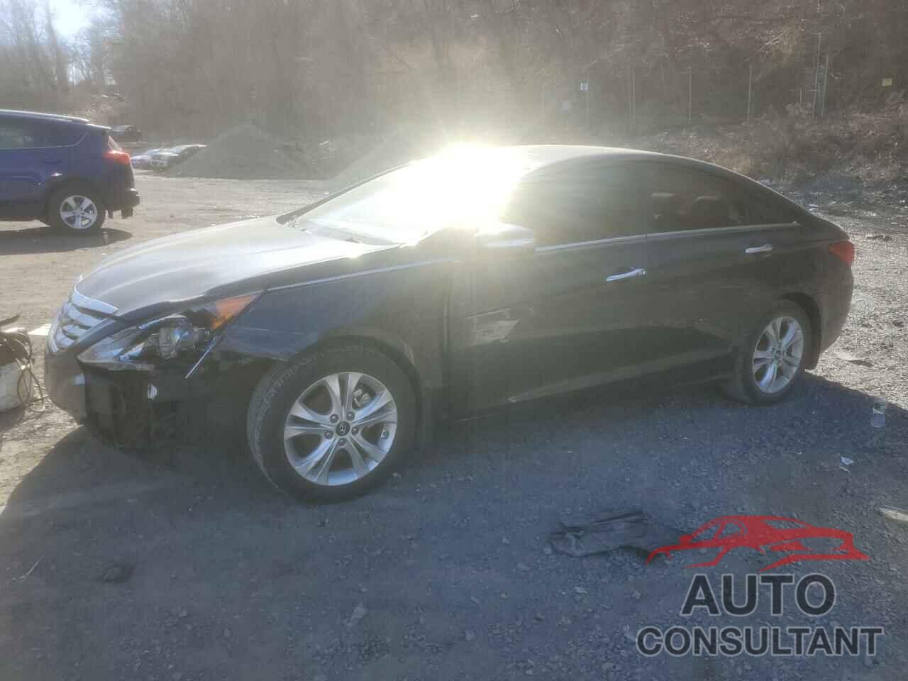 HYUNDAI SONATA 2013 - 5NPEC4AC6DH606022