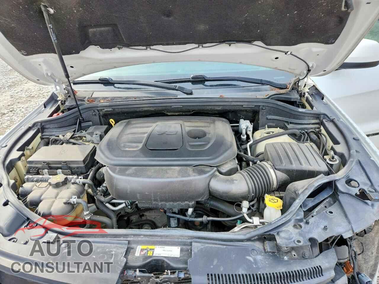 JEEP CHEROKEE 2019 - 1C4RJFAG3KC677242