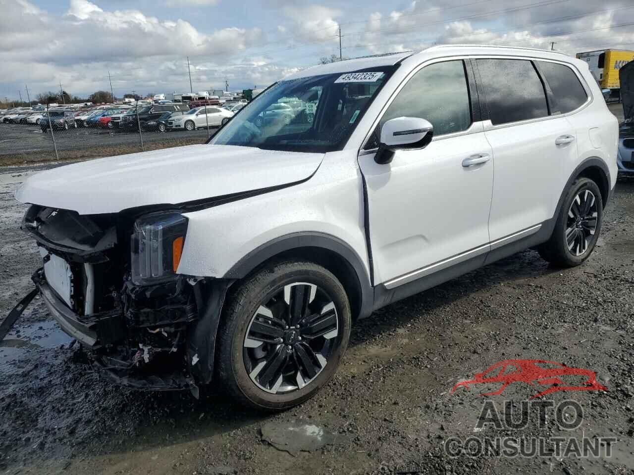 KIA TELLURIDE 2023 - 5XYP5DGC9PG350576