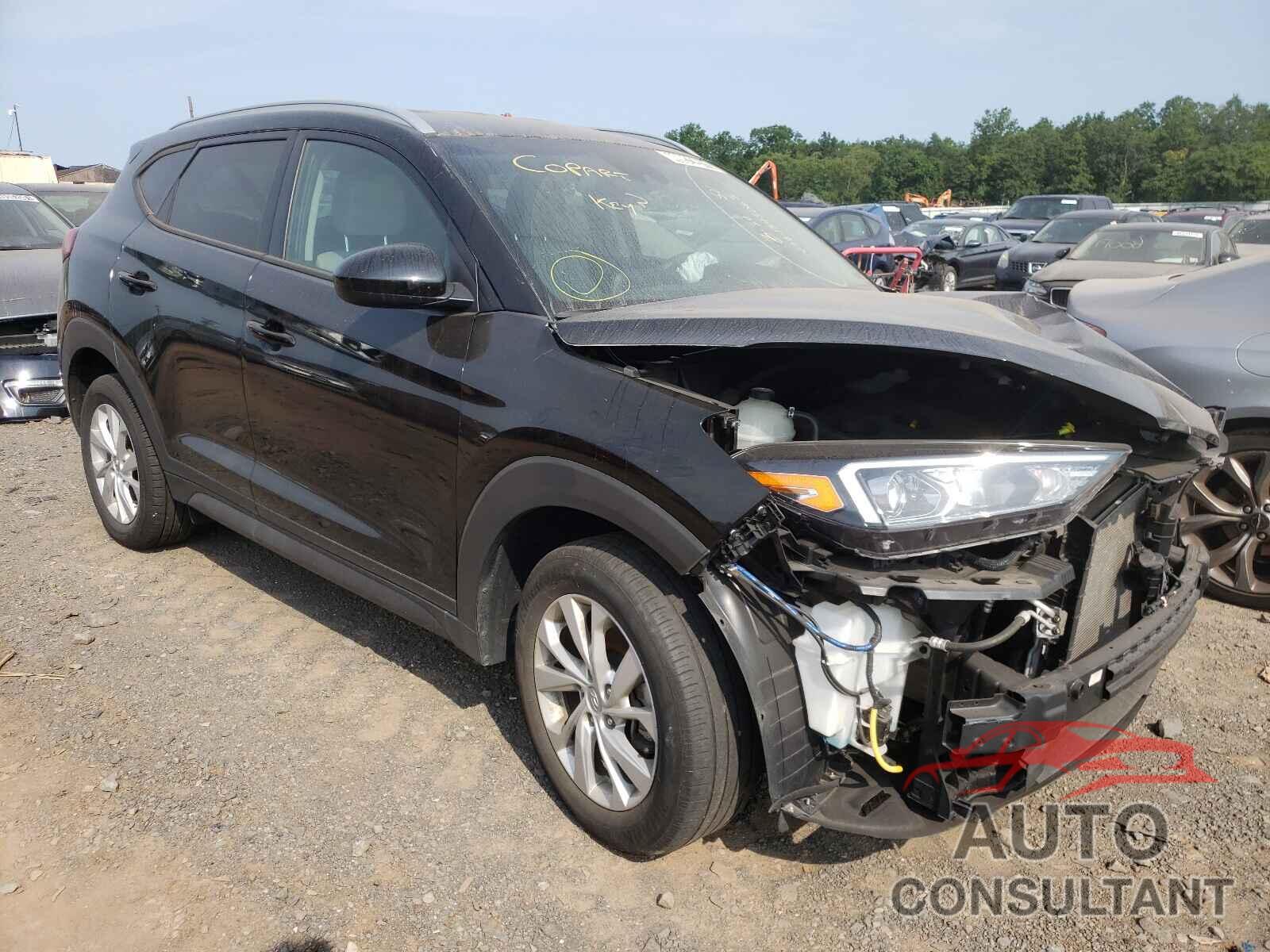 HYUNDAI TUCSON 2019 - KM8J33A42KU923098