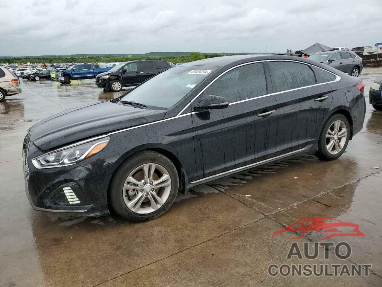 HYUNDAI SONATA 2019 - 5NPE34AFXKH772518