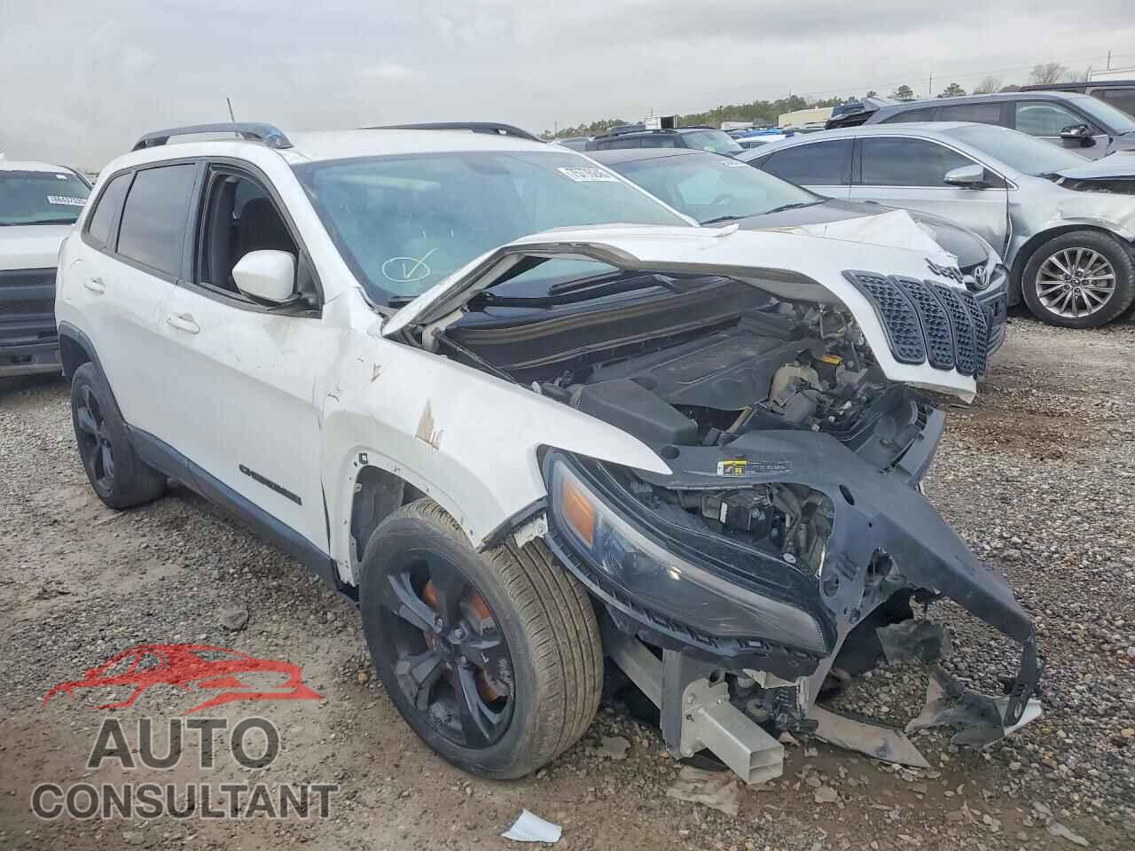 JEEP GRAND CHER 2019 - 1C4PJLLB2KD466101