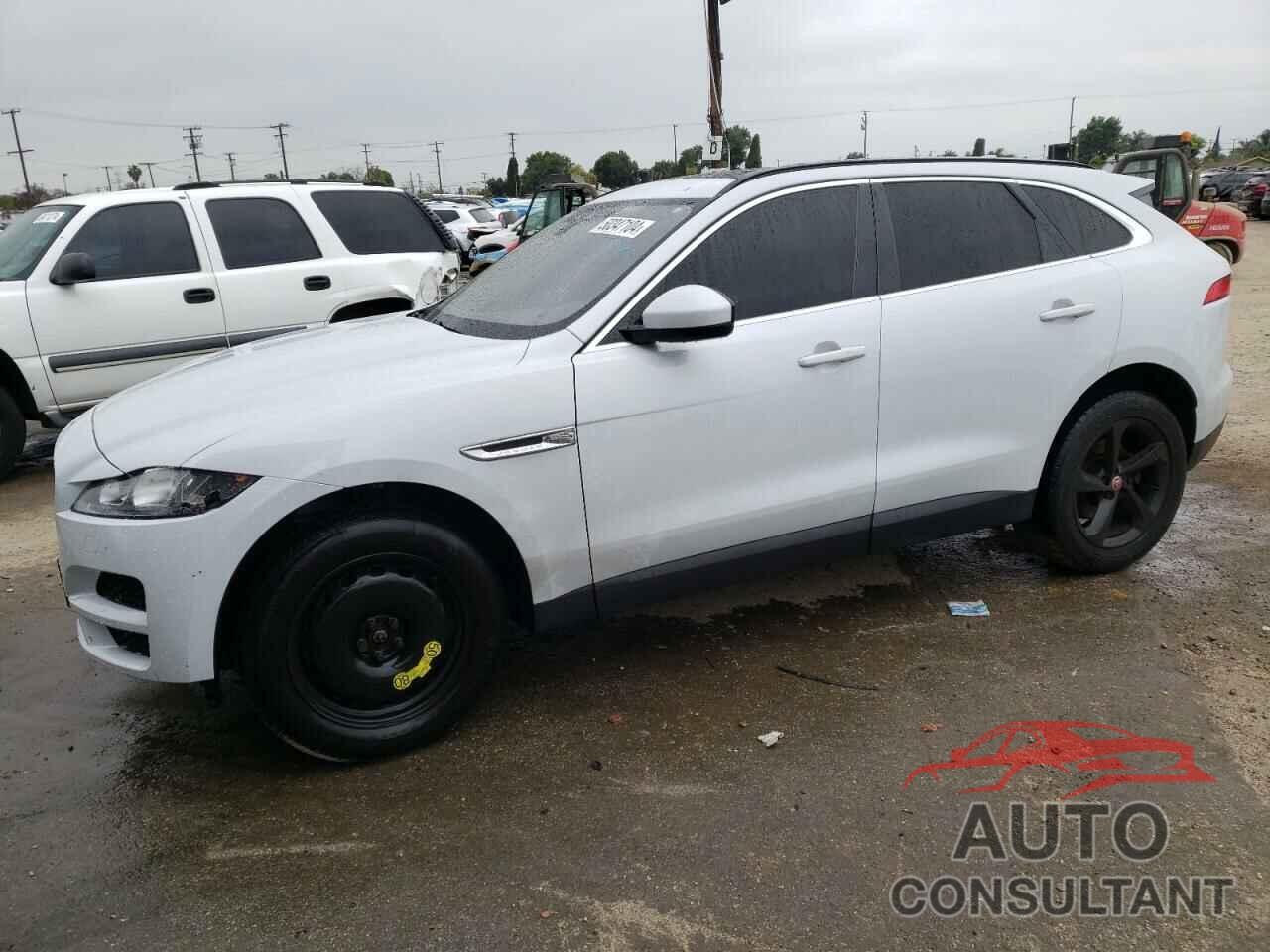 JAGUAR F-PACE 2019 - SADCJ2GX3KA396614