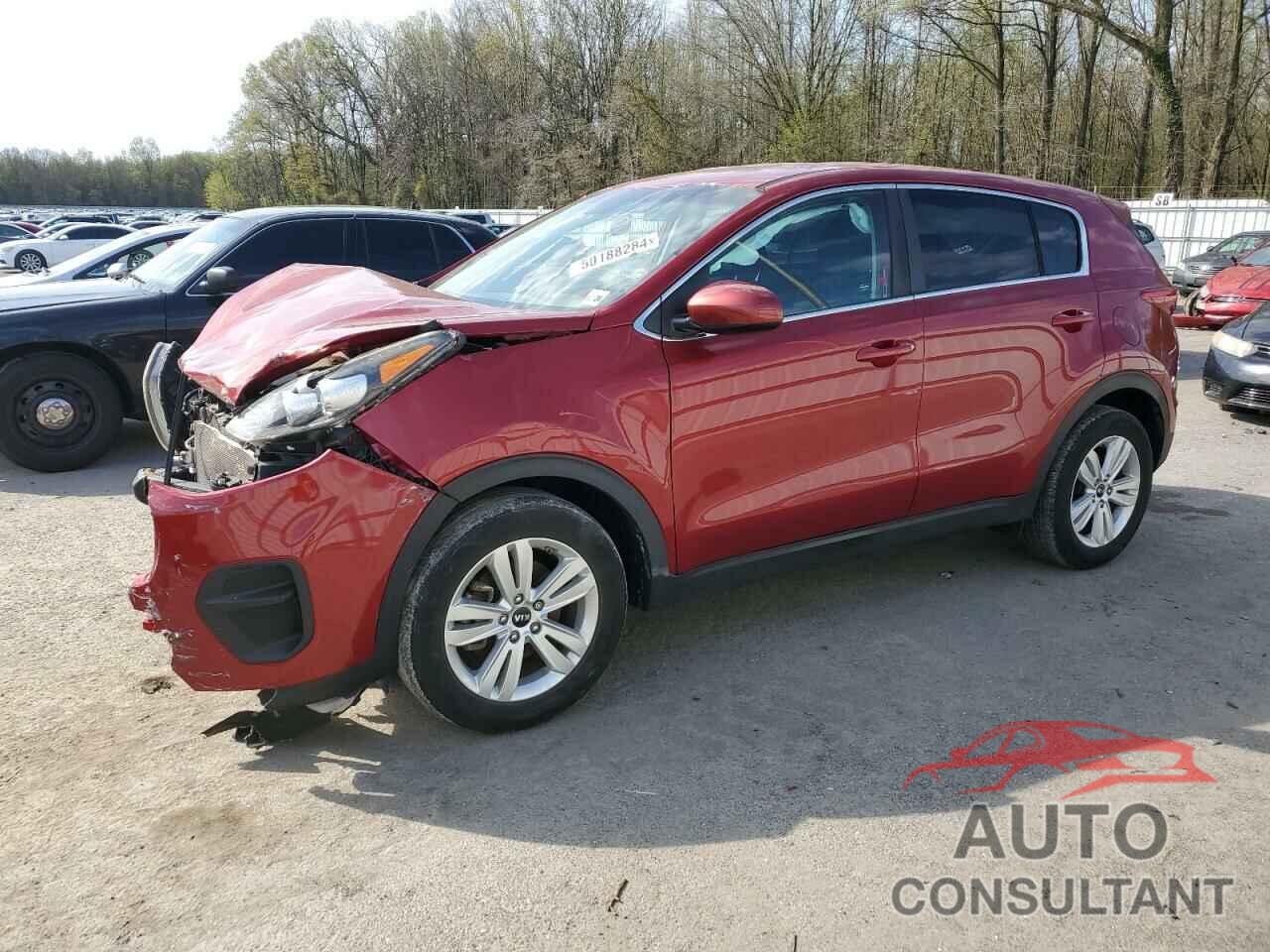 KIA SPORTAGE 2019 - KNDPM3AC1K7501731