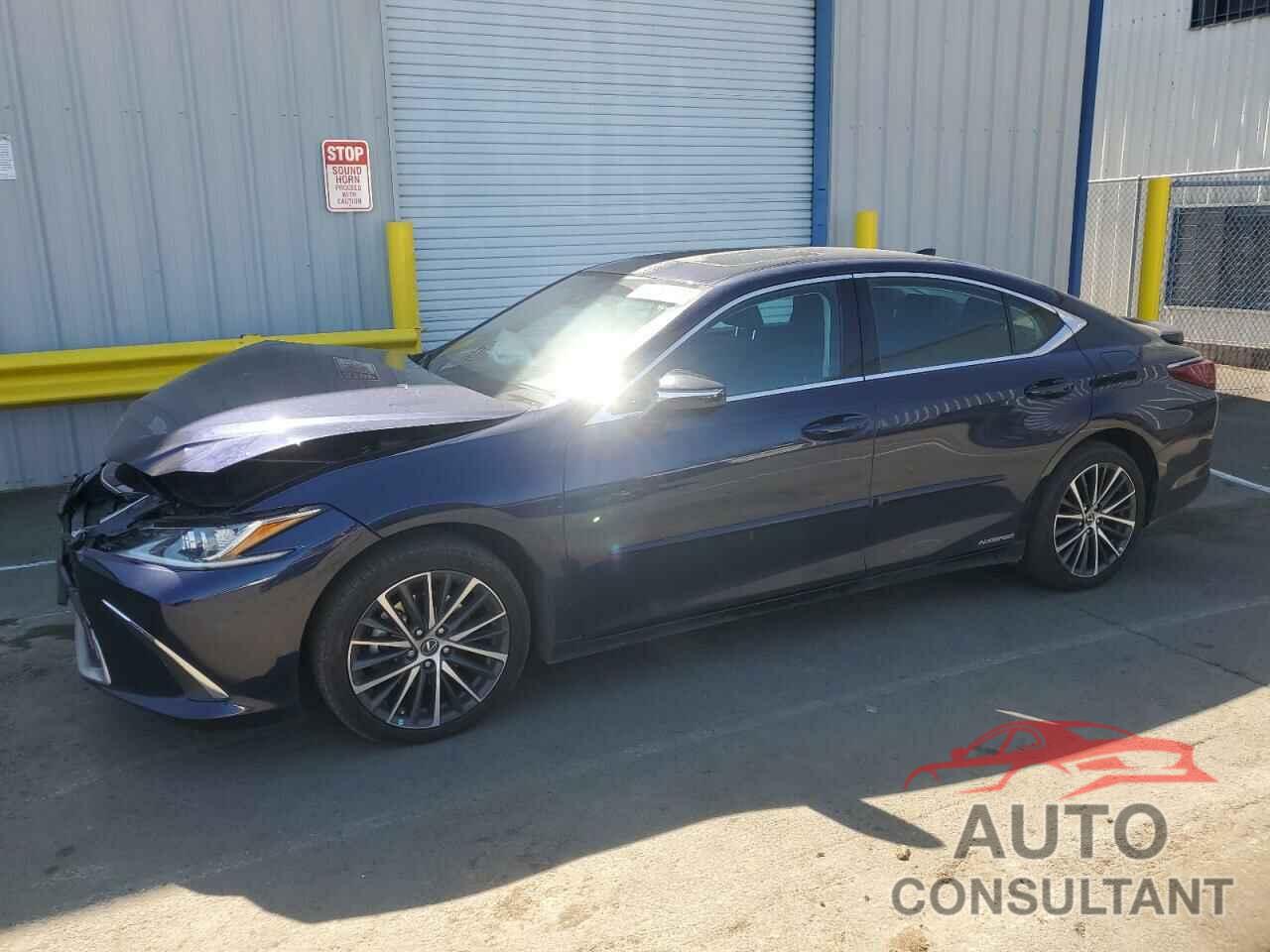 LEXUS ES300 2022 - 58ADA1C1XNU019734