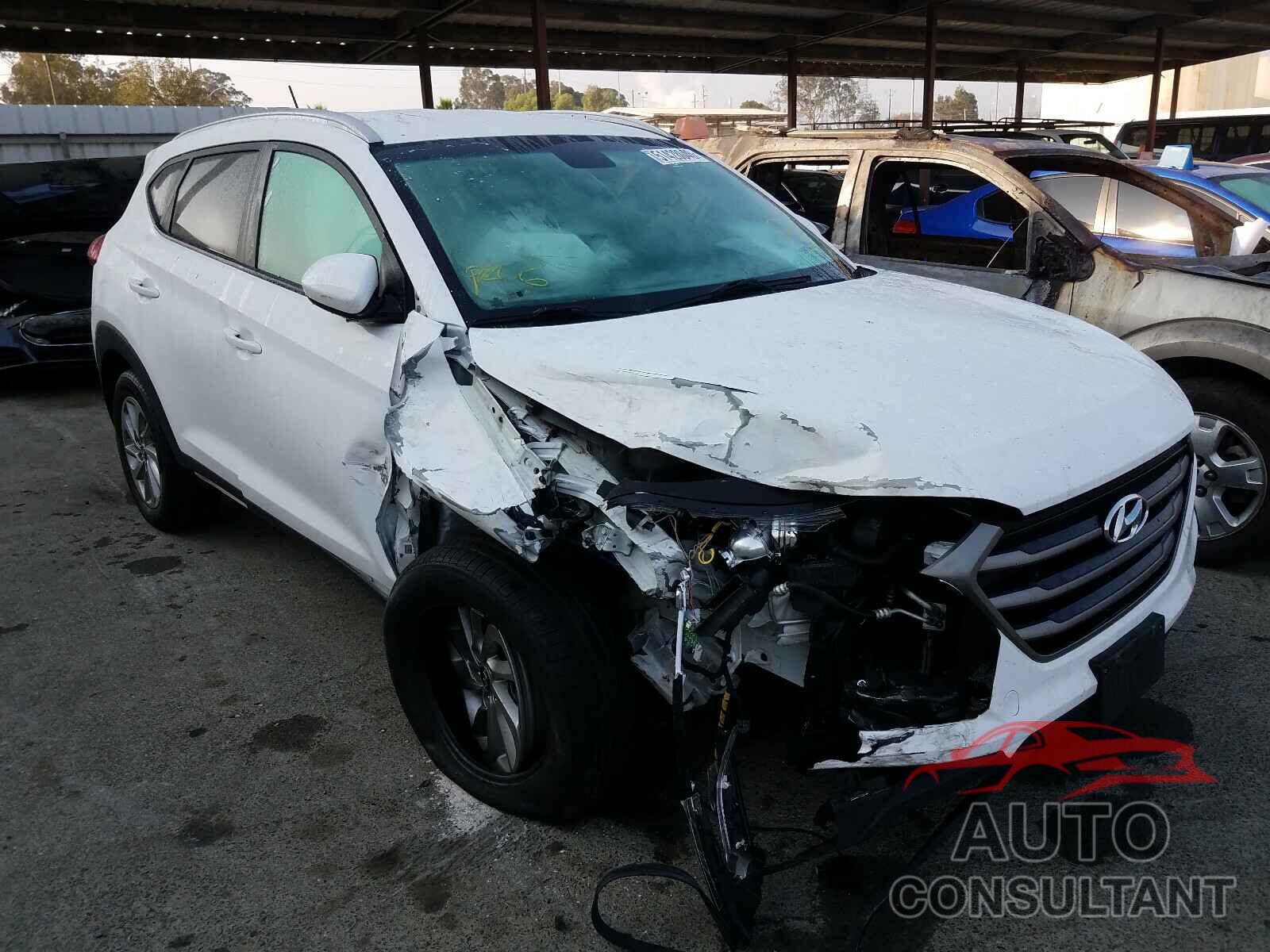 HYUNDAI TUCSON 2016 - KM8J33A41GU076534