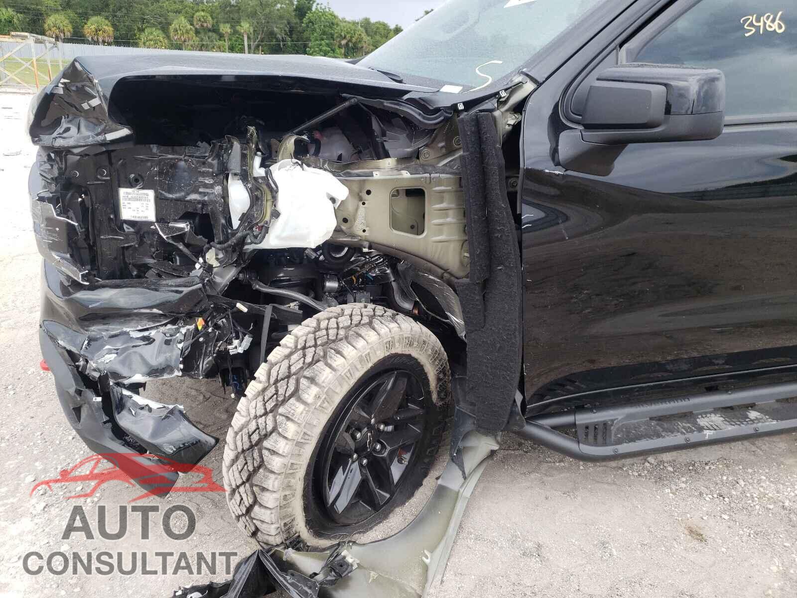 CHEVROLET SILVERADO 2021 - 3GCPYFED1MG349689