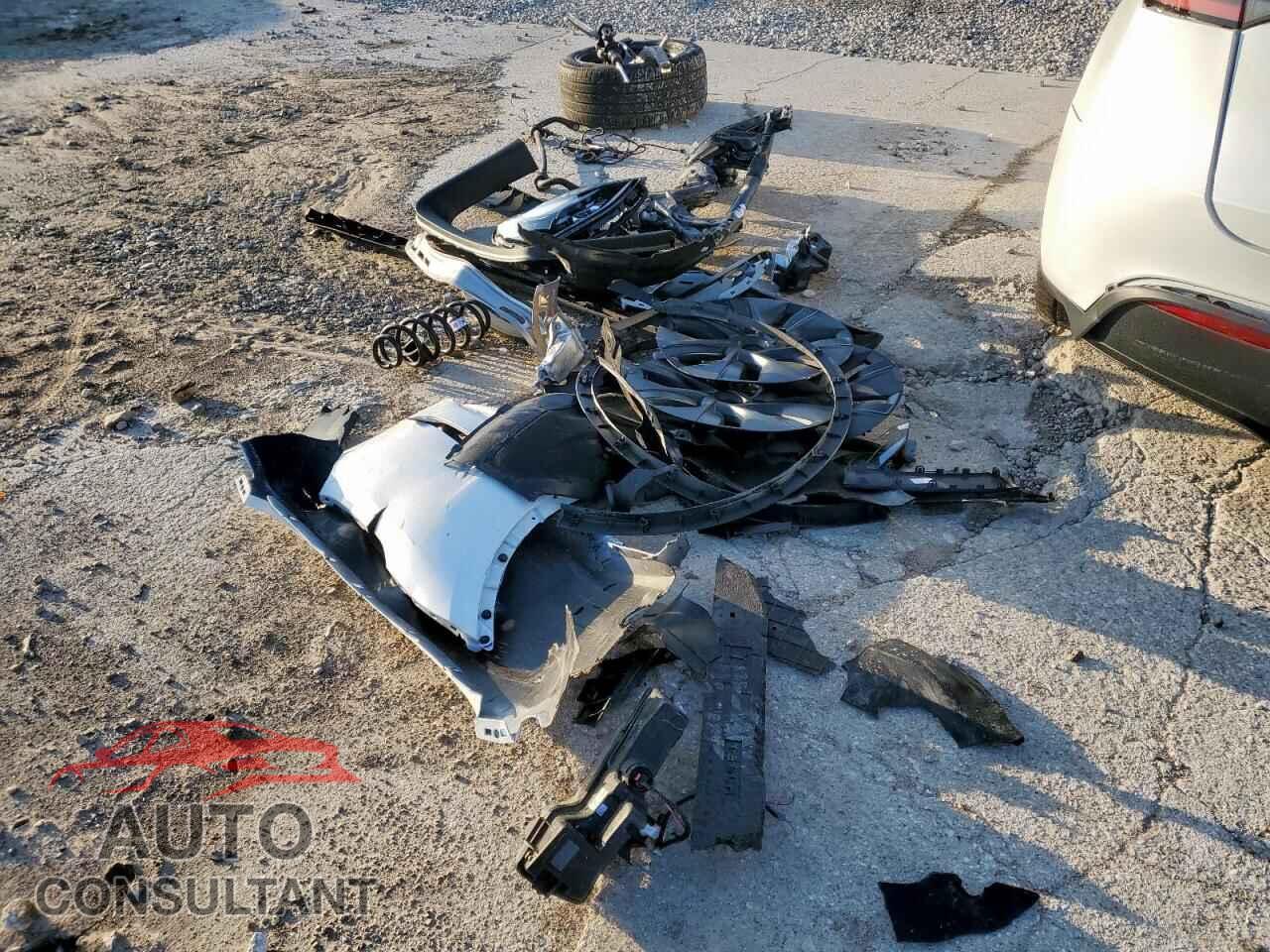 TESLA MODEL Y 2025 - 7SAYGDEDXSA371480