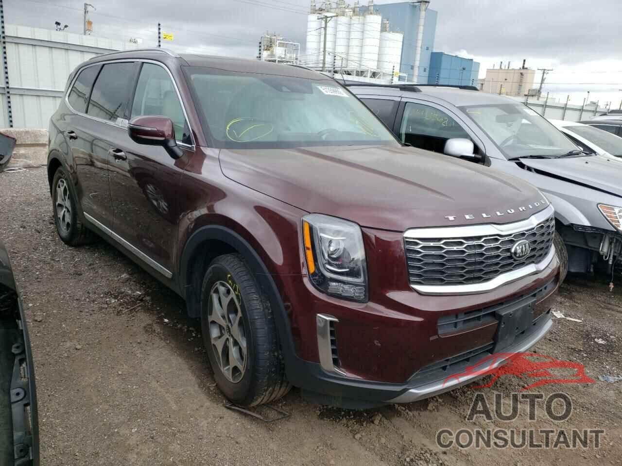 KIA TELLURIDE 2021 - 5XYP3DHC7MG131700