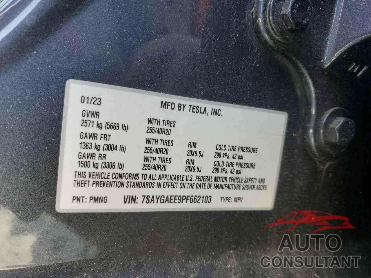 TESLA MODEL Y 2023 - 7SAYGAEE9PF662103