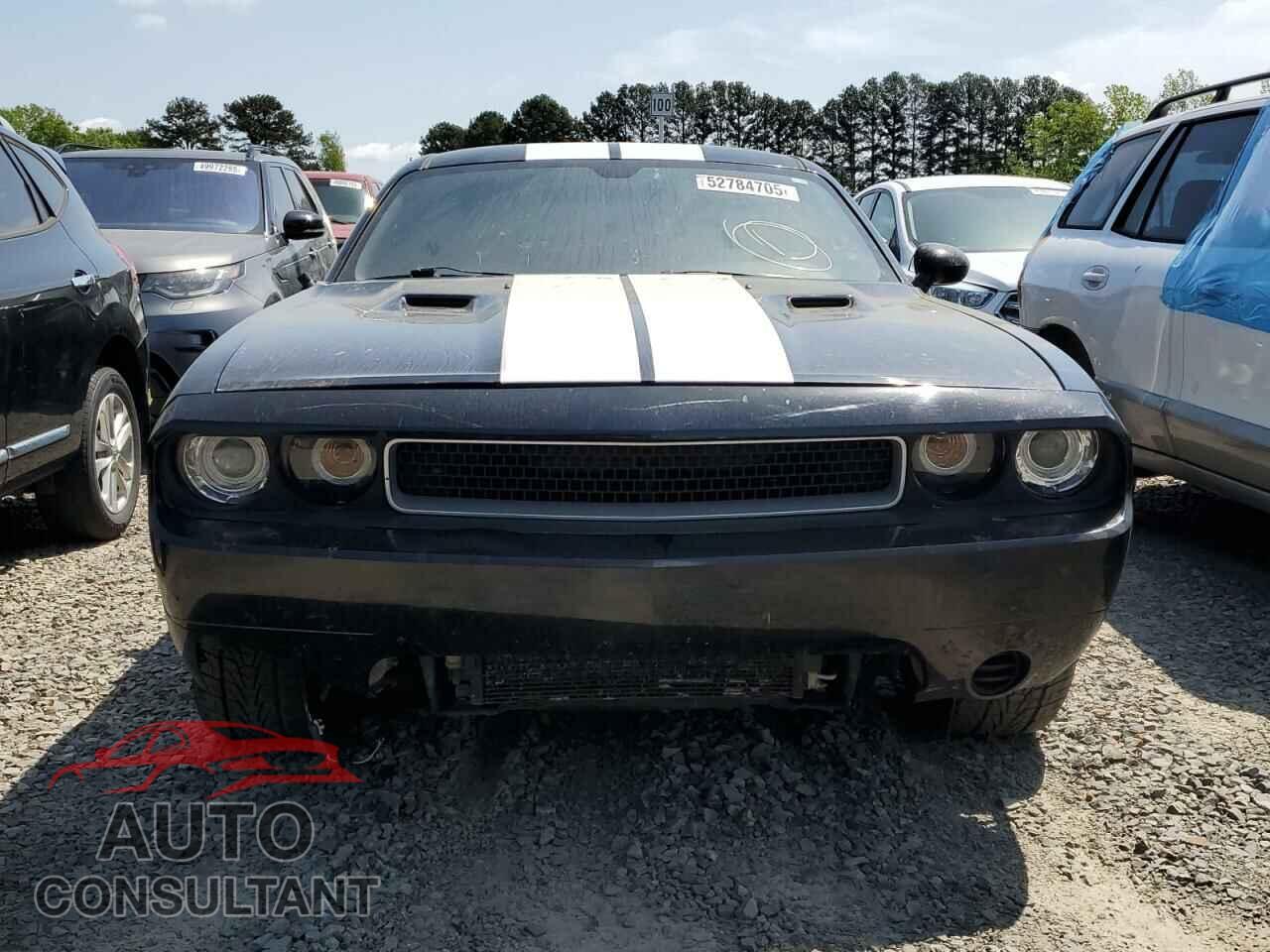 DODGE CHALLENGER 2013 - 2C3CDYAG6DH679449