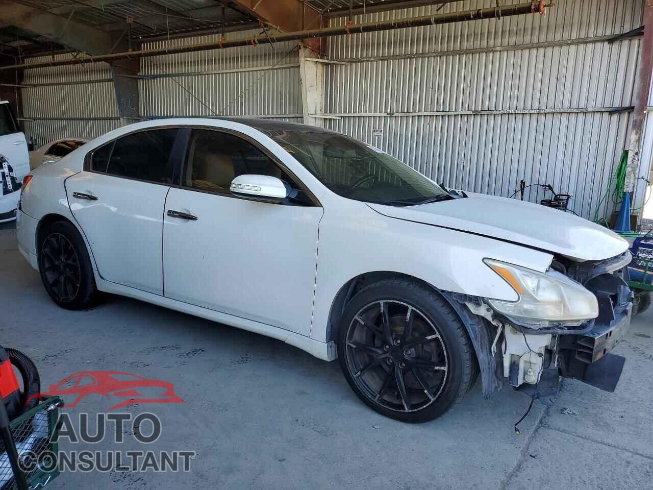 NISSAN MAXIMA 2011 - 1N4AA5AP8BC831781