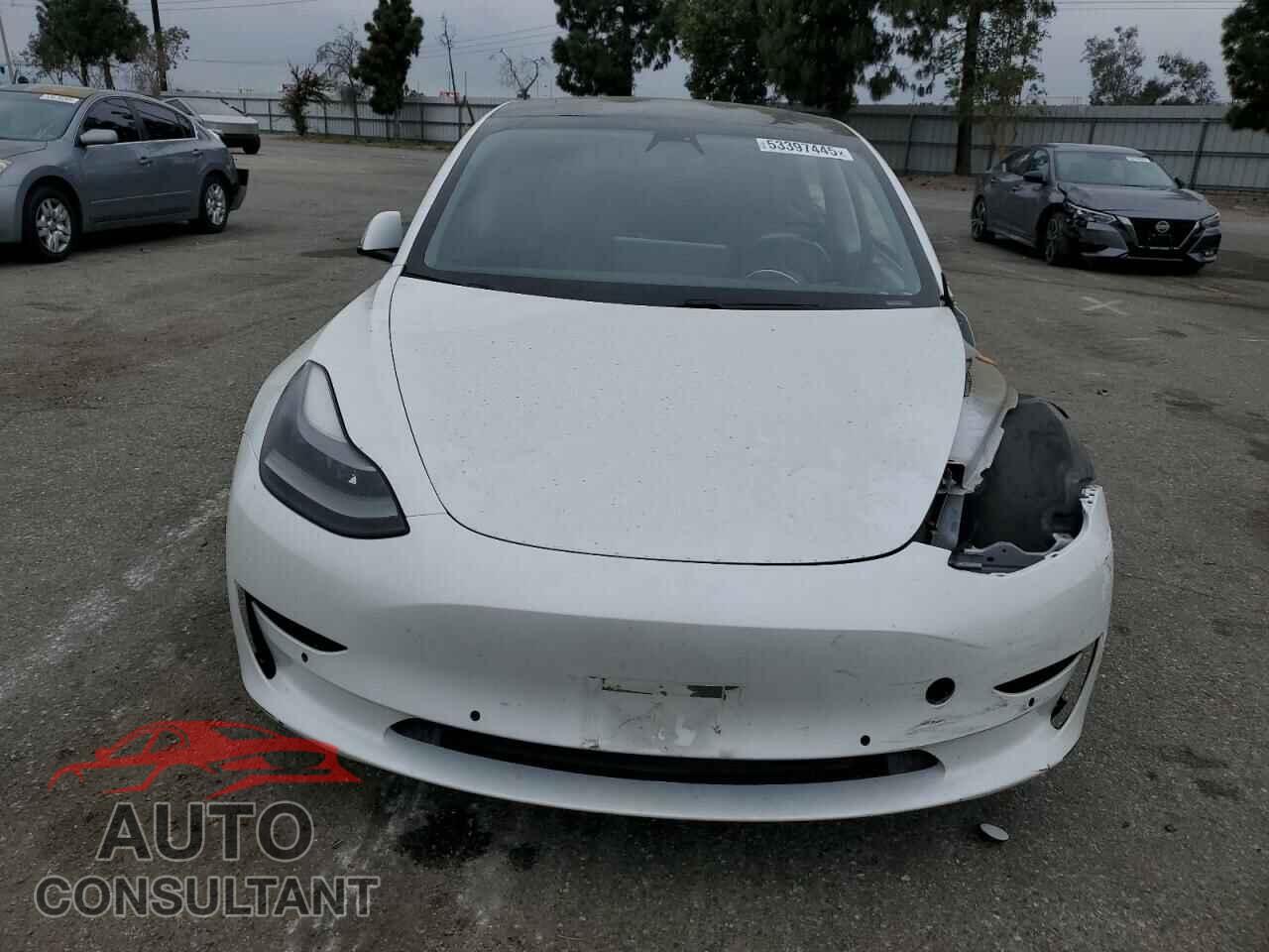TESLA MODEL 3 2021 - 5YJ3E1EC4MF037759