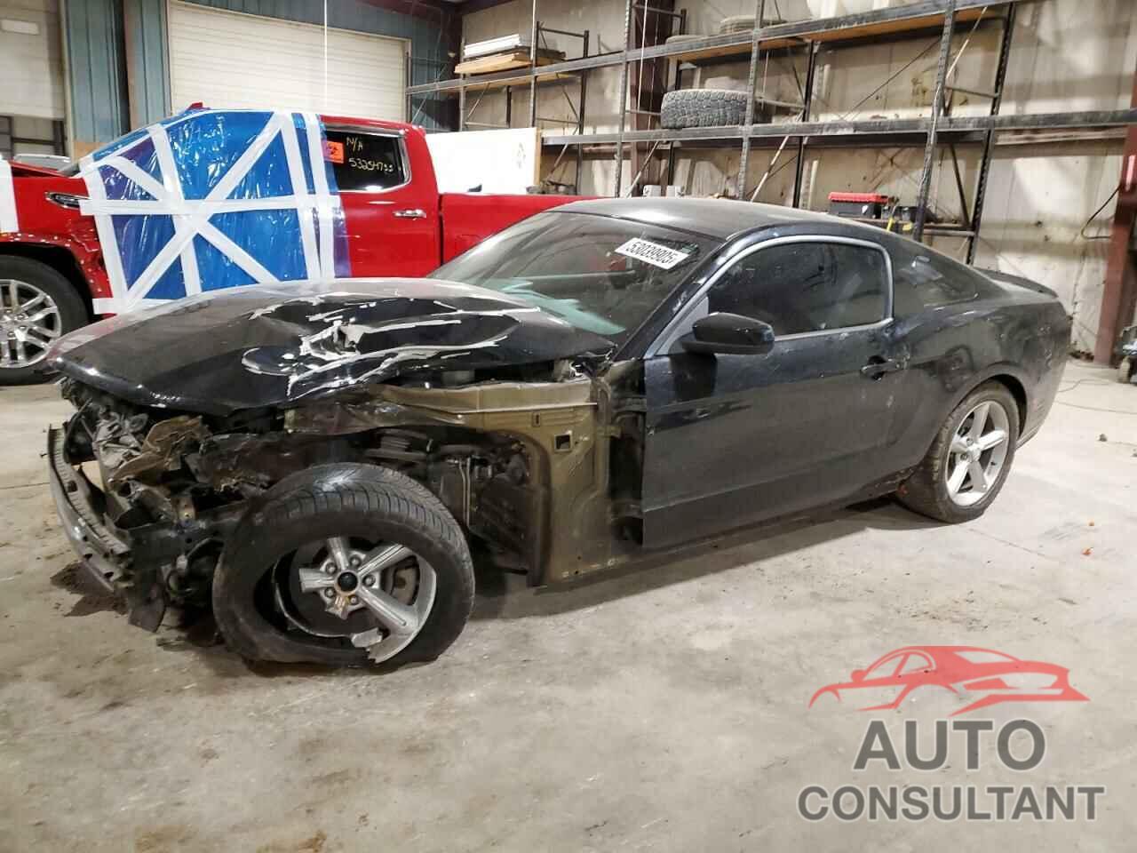 FORD MUSTANG 2011 - 1ZVBP8CF8B5125012