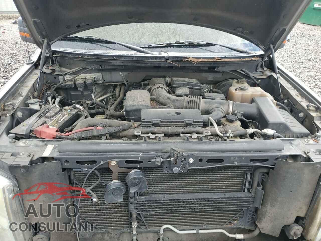 FORD F-150 2010 - 1FTFX1CV0AKE01444