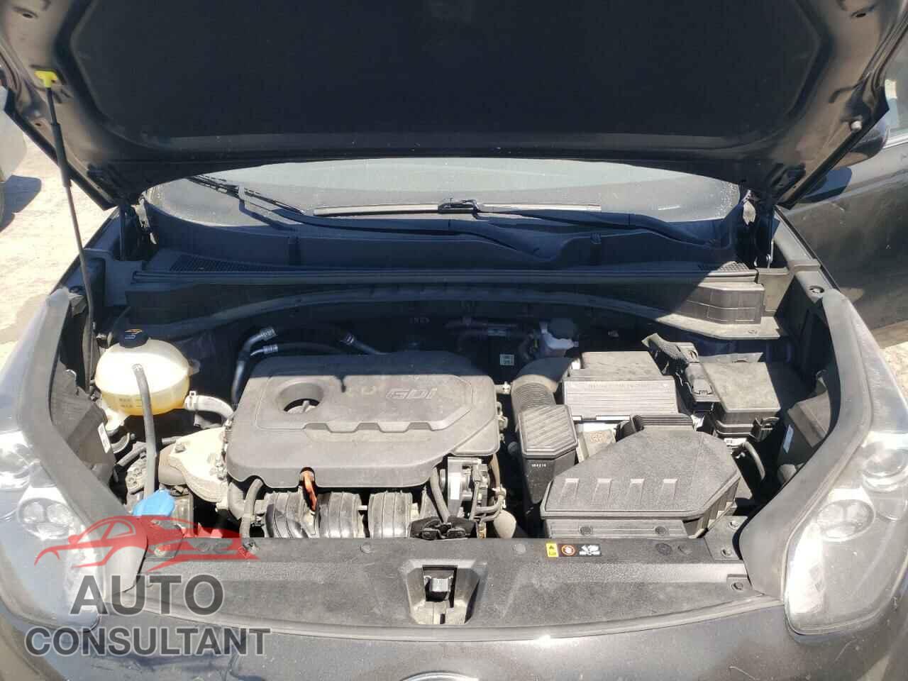 KIA SPORTAGE 2017 - KNDPMCAC6H7065340