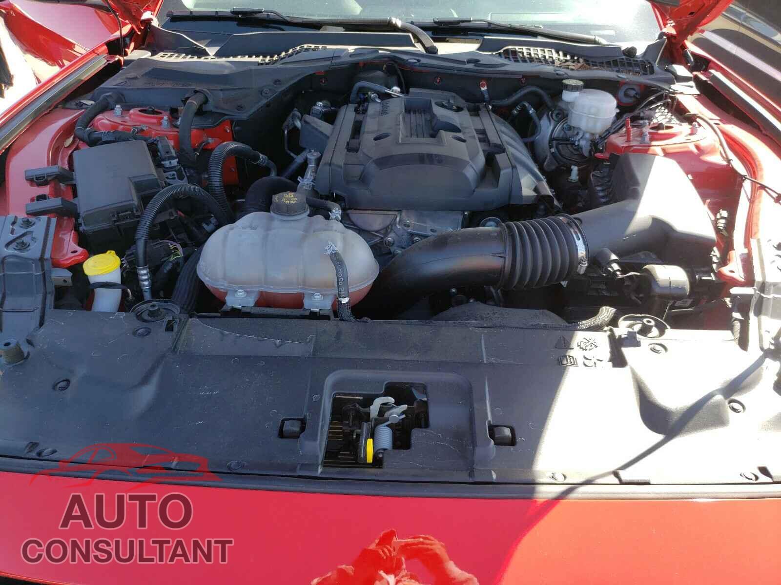 FORD MUSTANG 2019 - 1FA6P8TH1K5125073