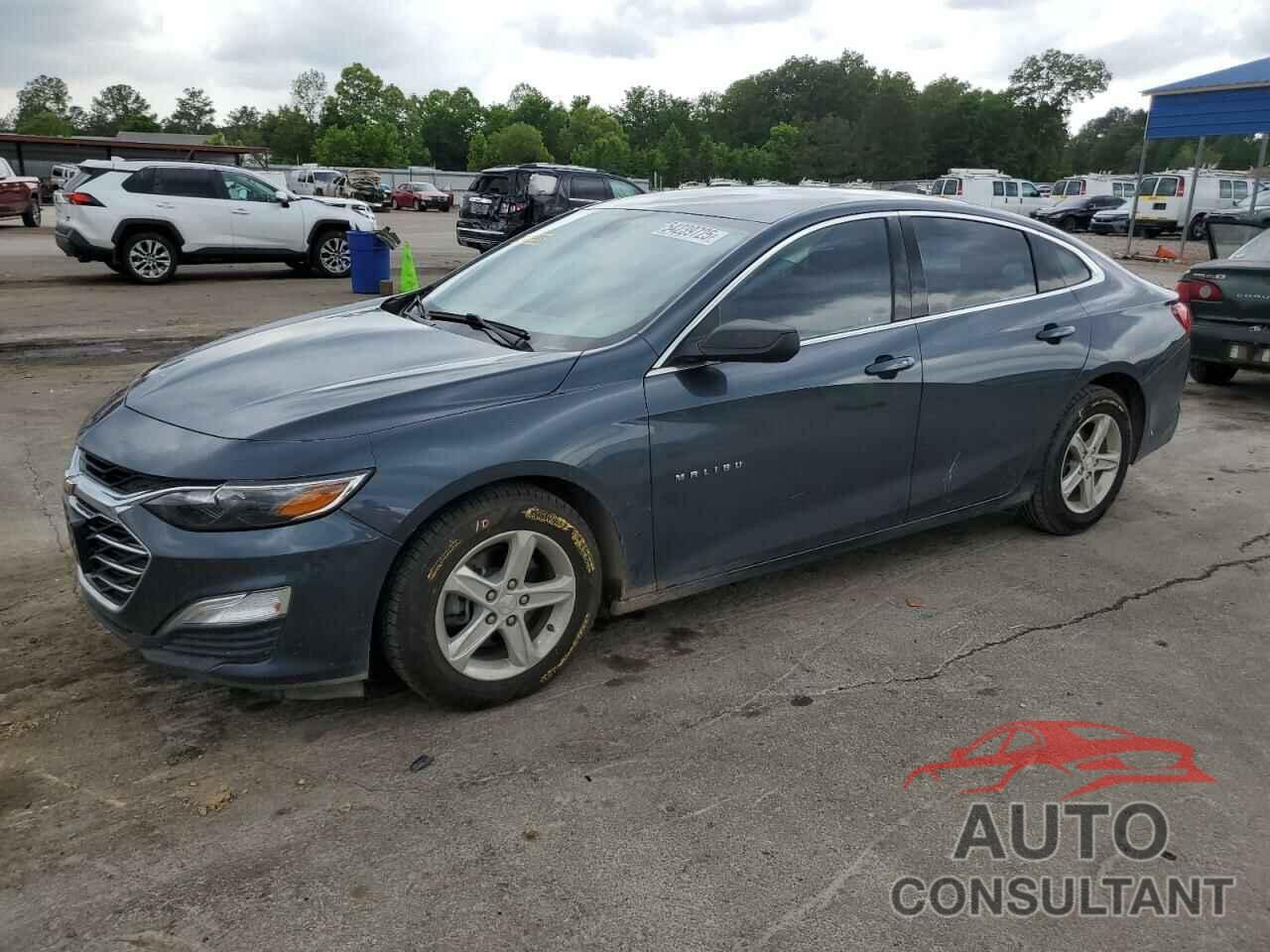 CHEVROLET MALIBU 2019 - 1G1ZC5ST6KF170567