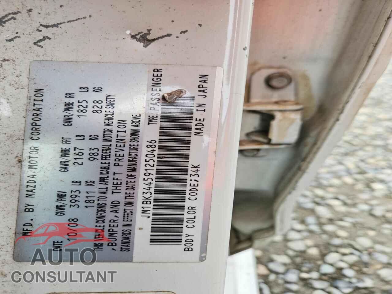 MAZDA MAZDA3 2009 - JM1BK344591250486